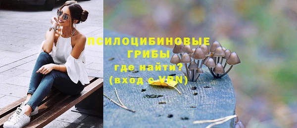 марки lsd Бородино
